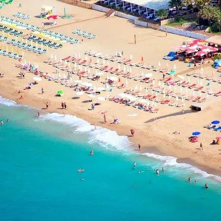 New Lux Beach In - Center Sea - *